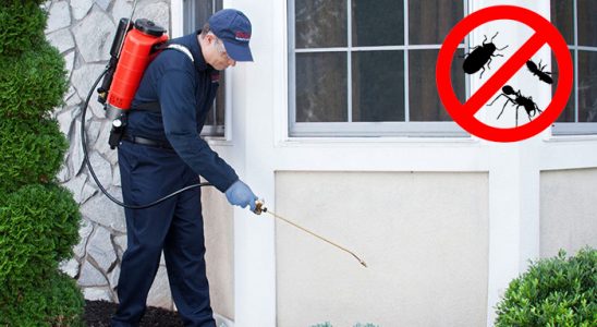 Bursa Akrep İlaçlama böcek ilaçlama ve haşere kontrolü — ilaclama-tr.com